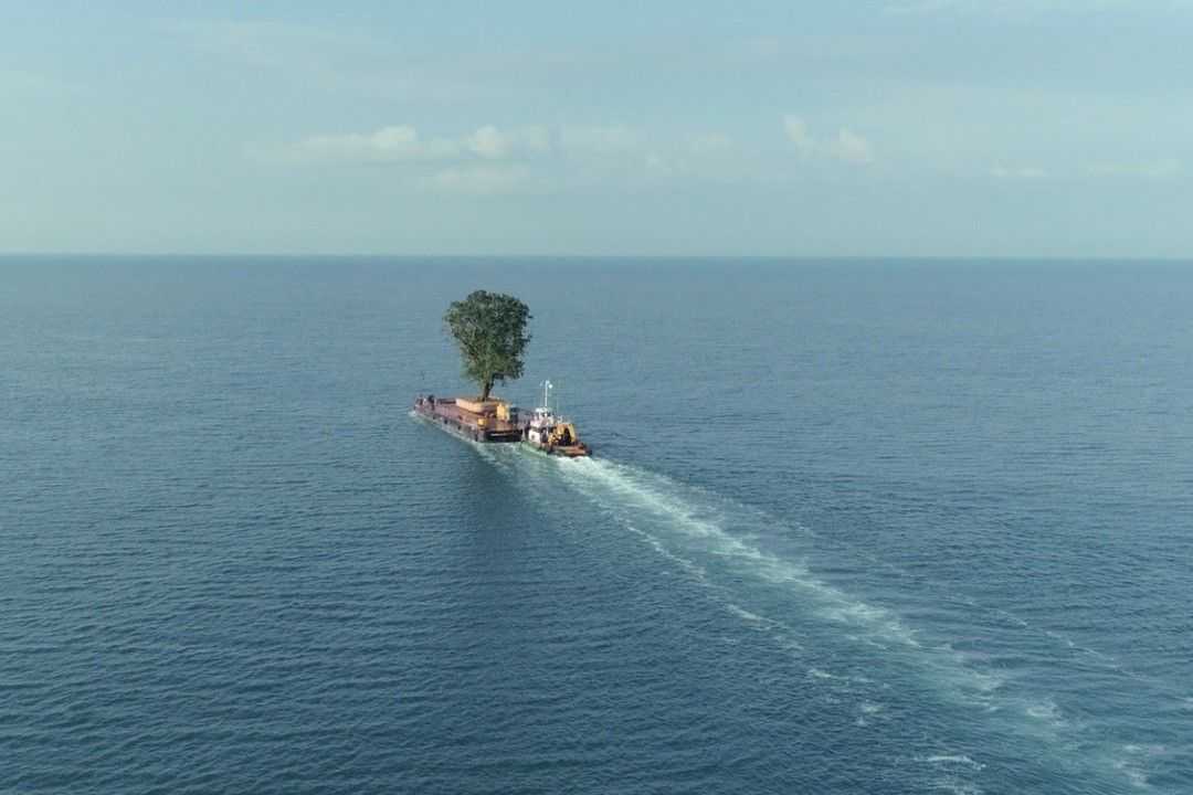 Still from film.