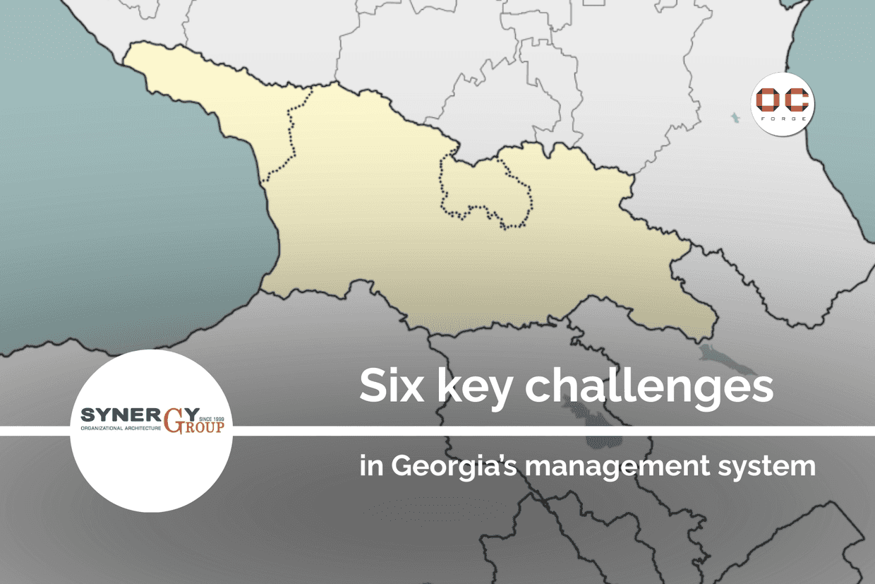 Key challenges in Georgia’s management system, 28.01.2026