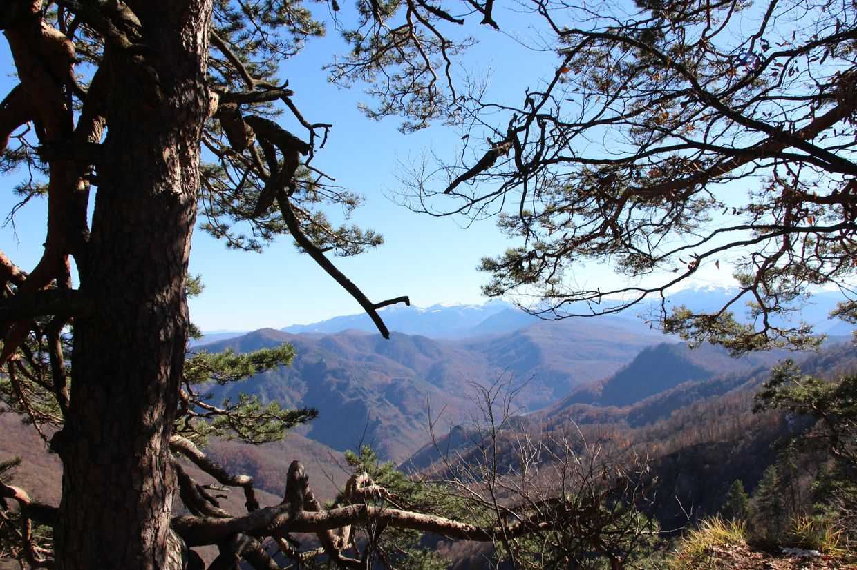 Lago-Naki, Adygea. Gunef Yedic/OC Media.&nbsp;