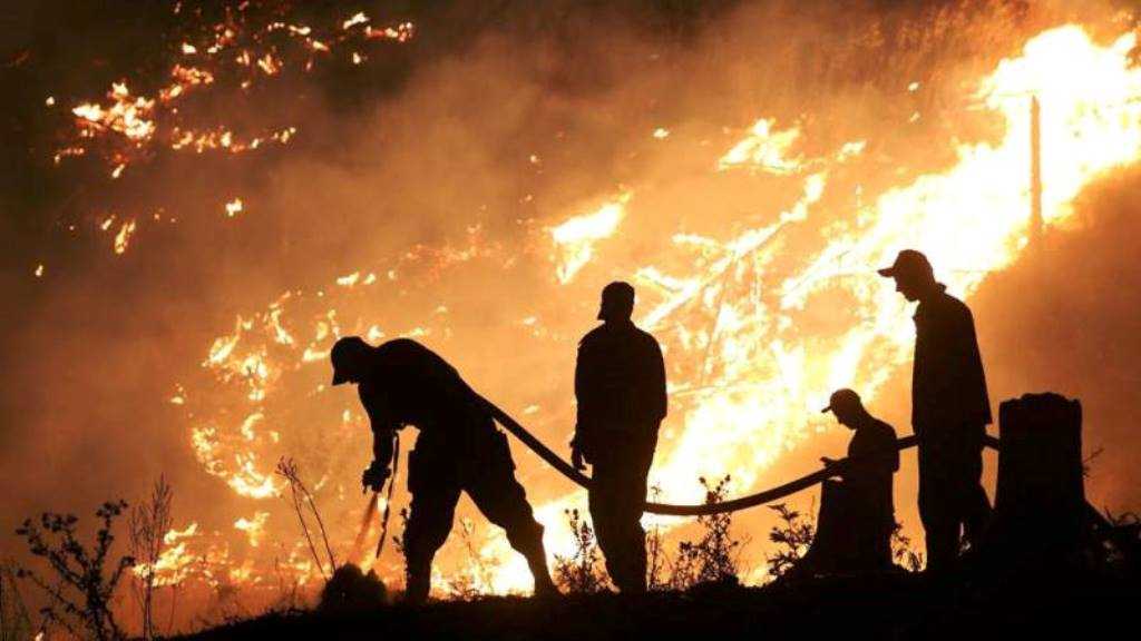 Hundreds fight forest fire in southern Georgia