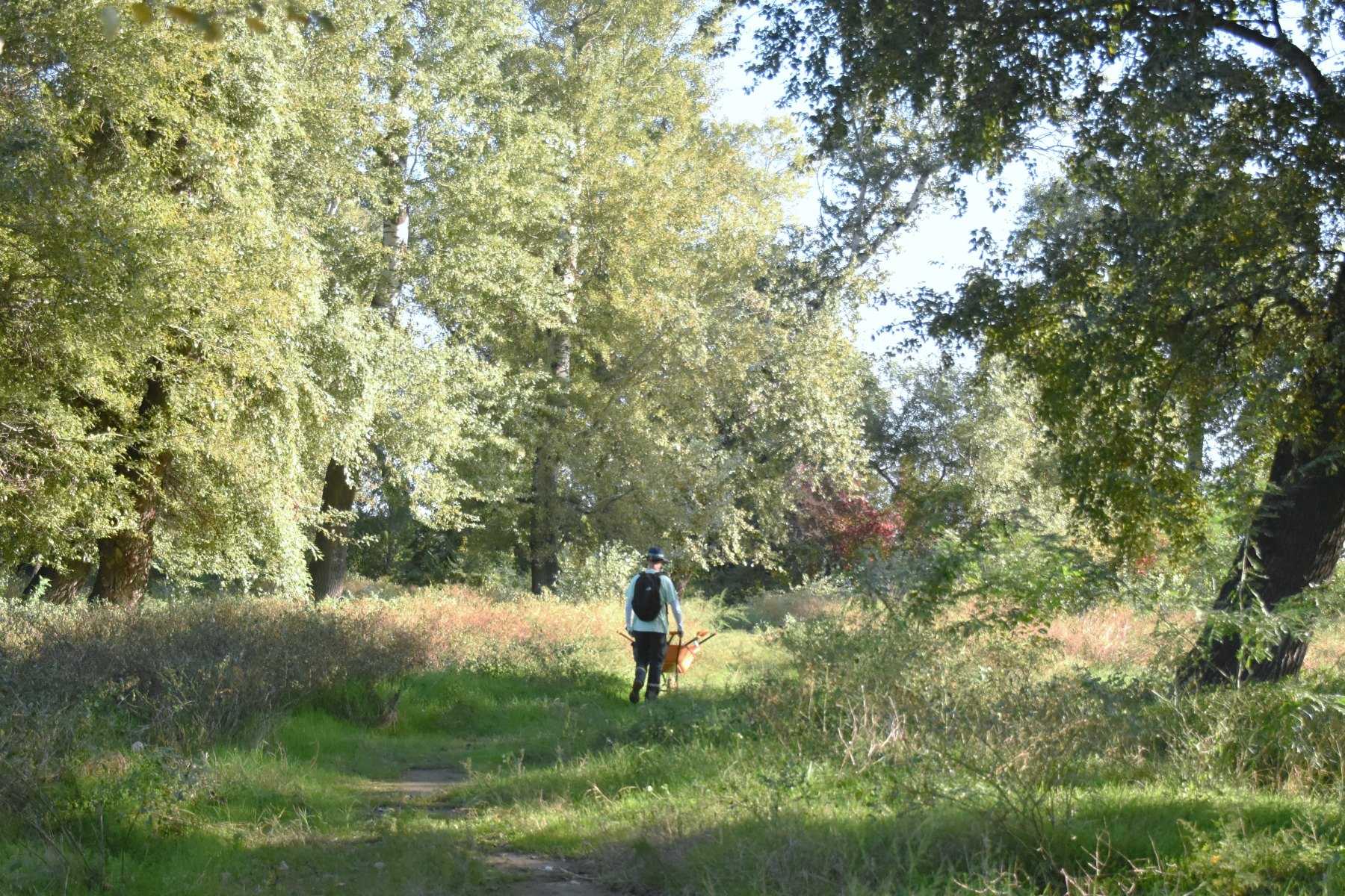 Data Tsintsadze pushes a wheelbarrow on the floodplain in the centre of Rustavi. Photo: Anna Edgar/OC Media.