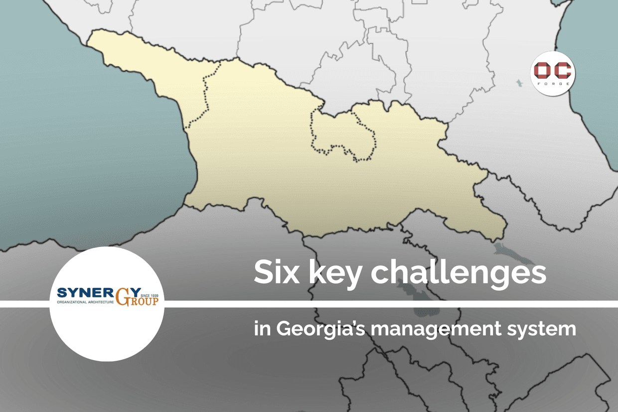 Six key challenges in Georgia’s management system