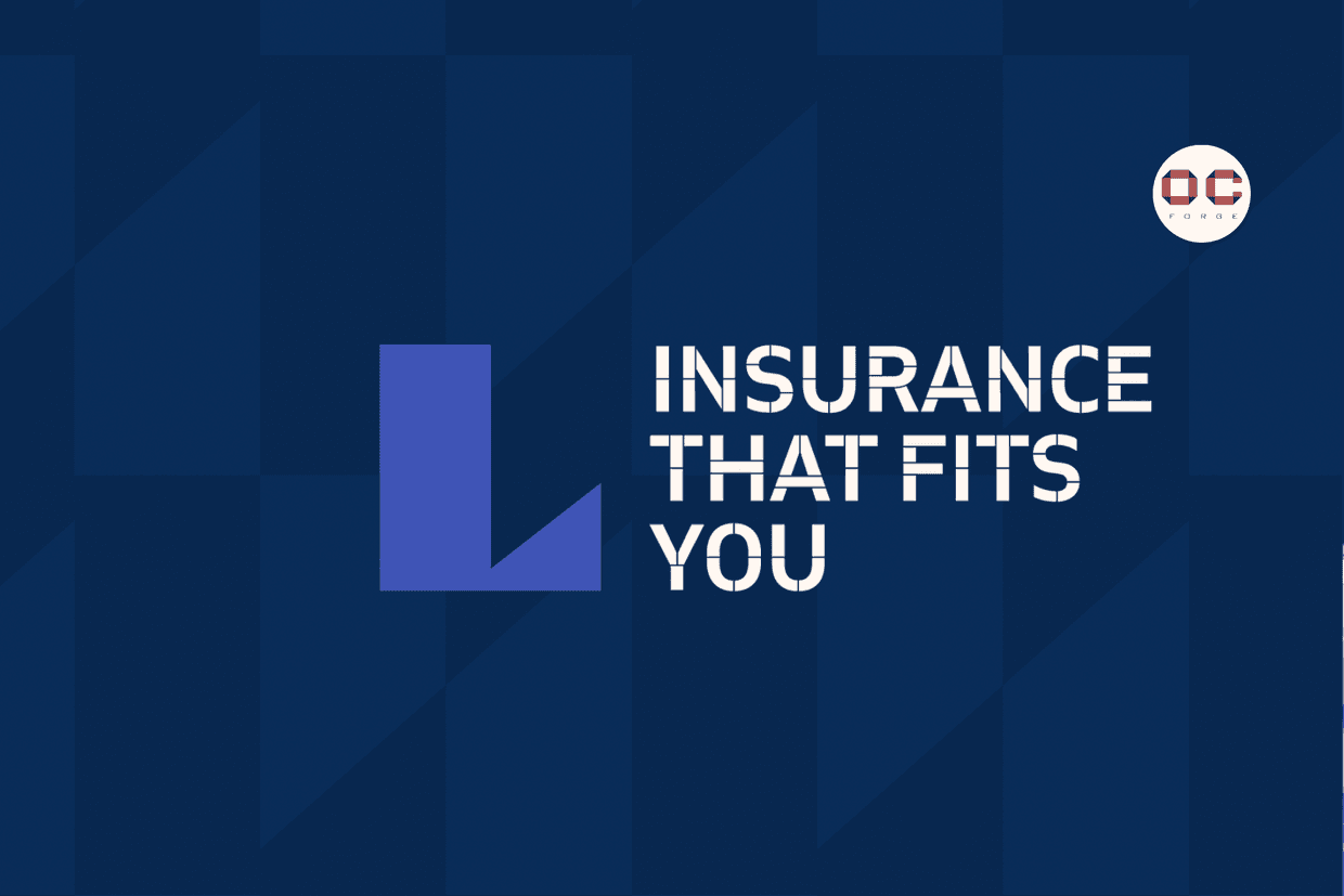 Mandatory Health Insurance for Visitors from Imedi L