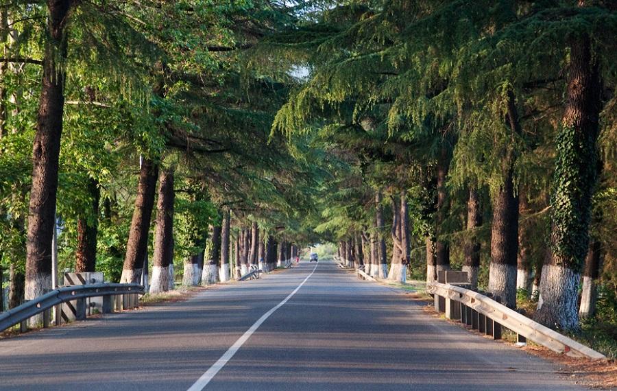 Abkhazia’s roads: deadlier than a warzone