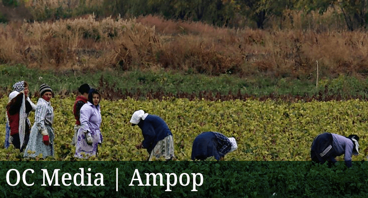 Seasonal work and the shadow economy of Armenian agriculture