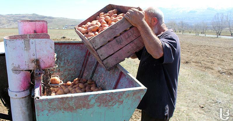 An ‘expensive spring’ for Meskhetian farmers