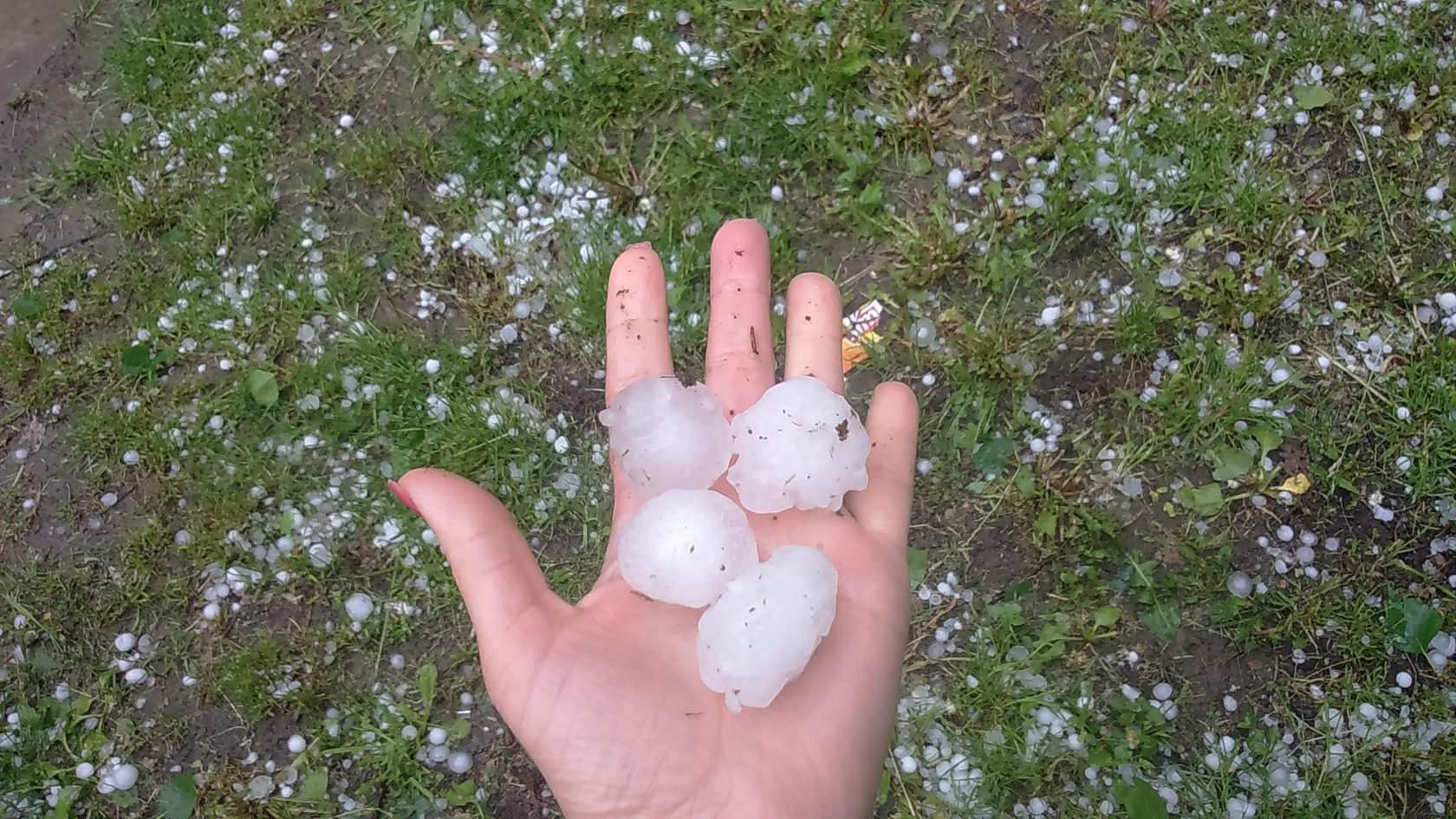 Ingush Head forbids state assistance for hail struck houses of officials