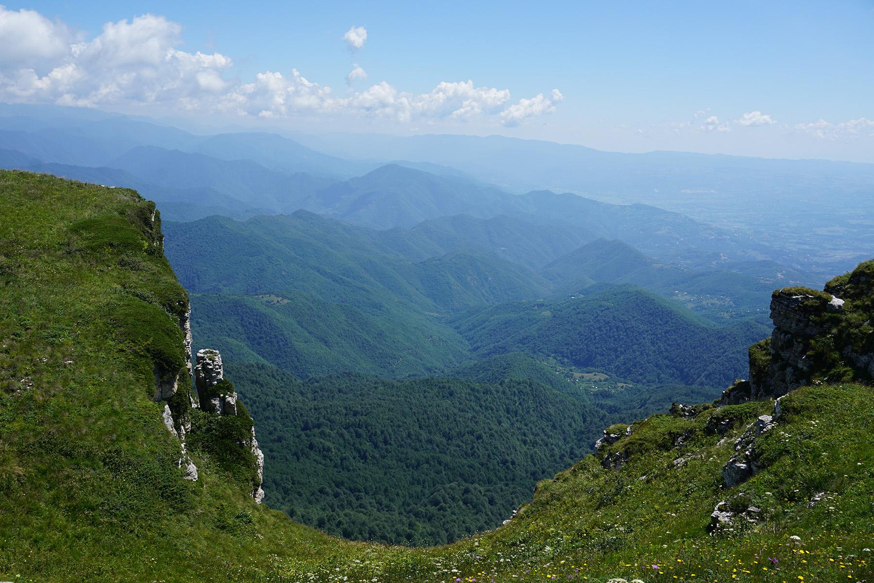 An image of a section of the auctioned off land. Photo: Tinatin Arveladze.