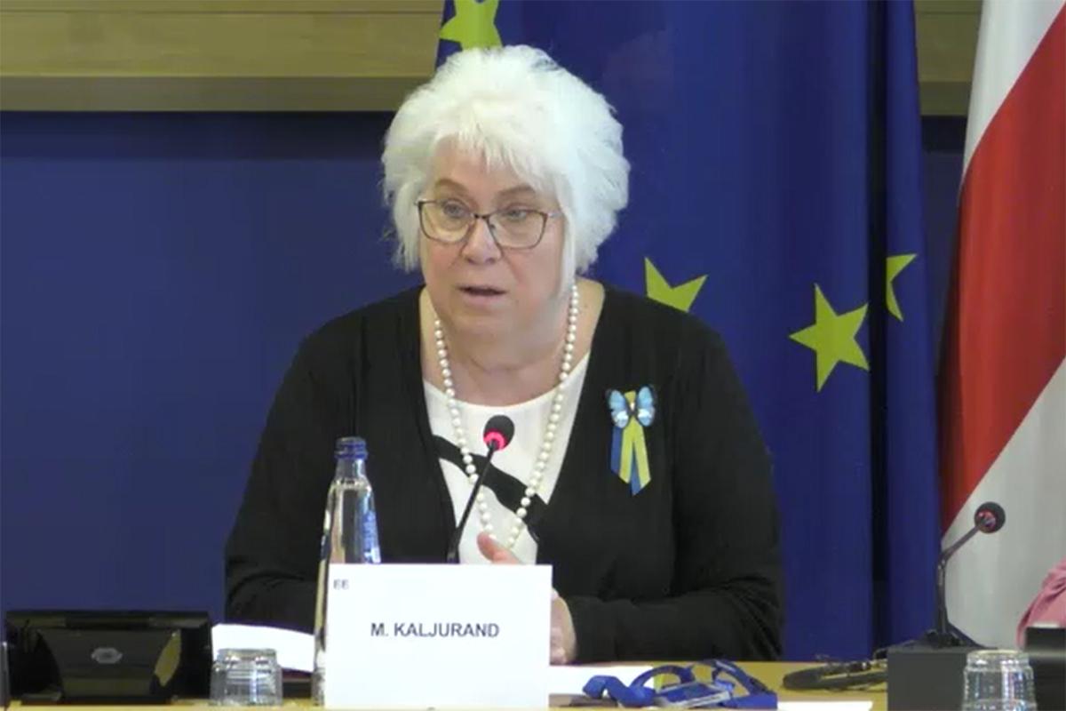 Chair of the EU–Georgia Parliamentary Association Committee Marina Kaljurand. Screengrab via the European Parliament.