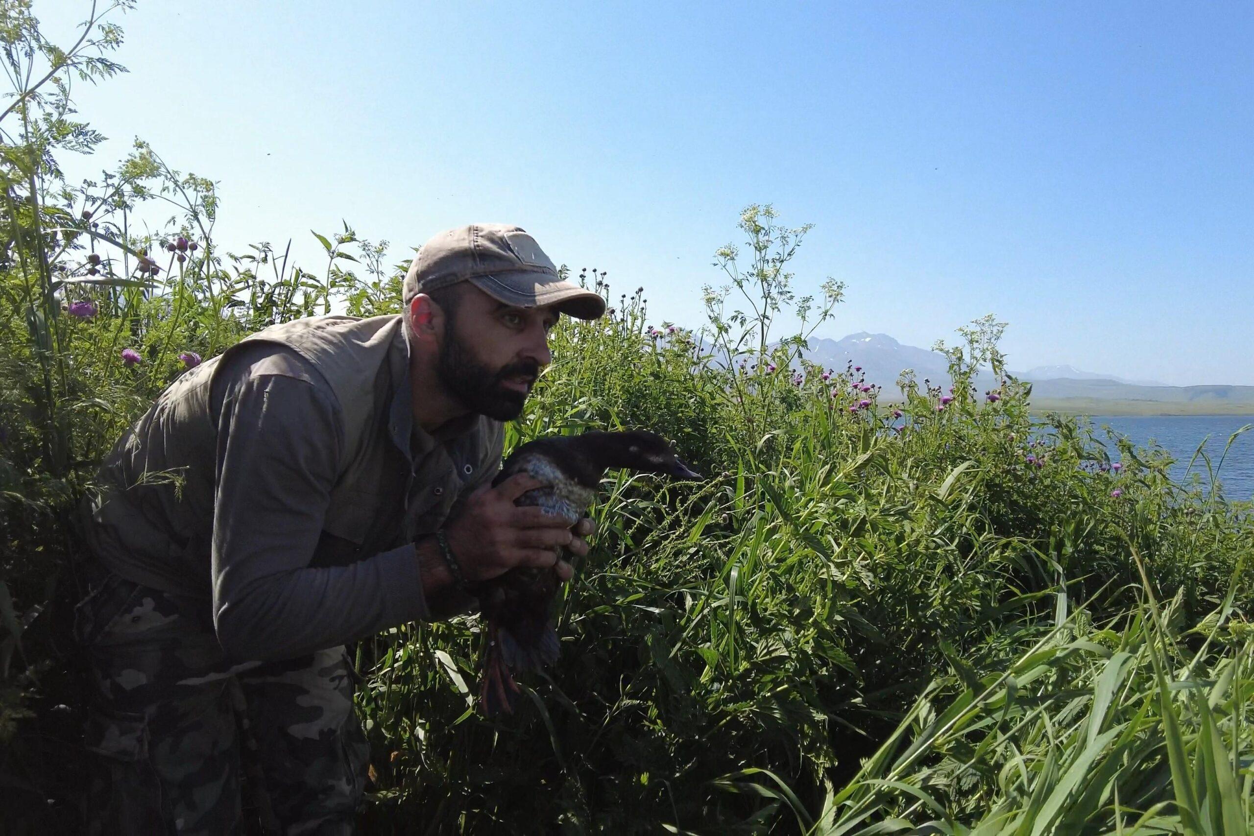 Nika Paposhvili holding a velvet scoter near Tabatskuri lake. Video still: Saxon Bosworth/OC Media