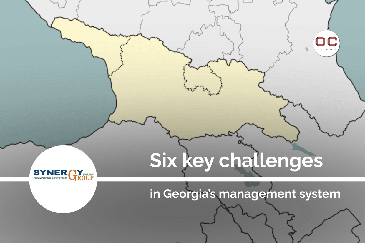 Key challenges in Georgia’s management system, 28.01.2026