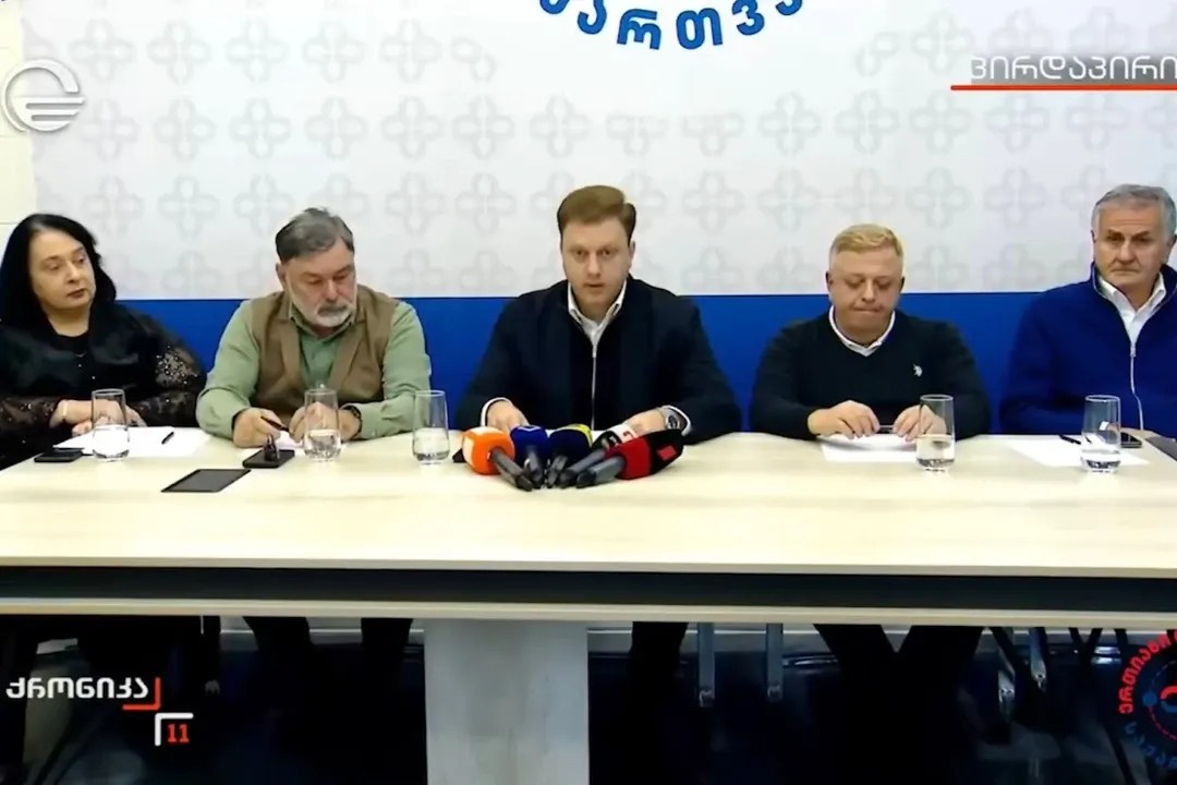 United Neutral Georgia. Screengrab from Imedi live broadcast.