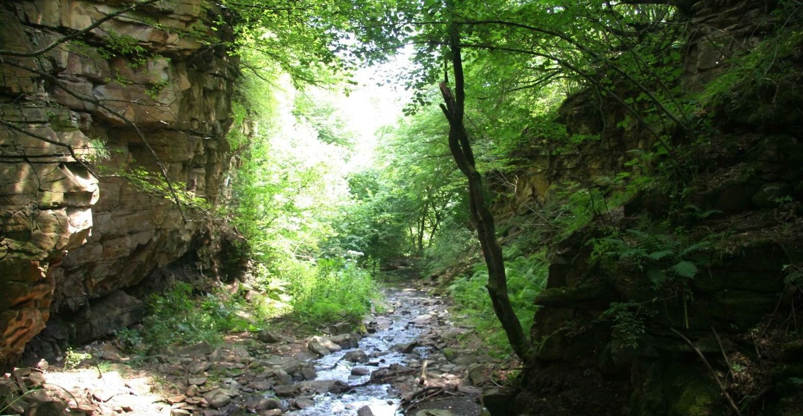 Russia may lose Daghestan’s Samur Forest