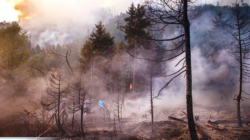 Four new locations ablaze in Georgia as Borjomi wildfire recedes