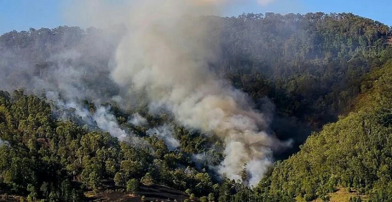 Forest fire hits Daghestan