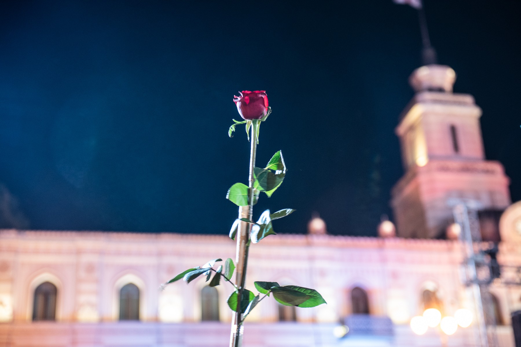A woman at Thursday’s protest holds a rose aloft, symbolising the Rose Revolution which swept Saakashvili to power in 2003. Photo: Mariam Nikuradze/OC Media.