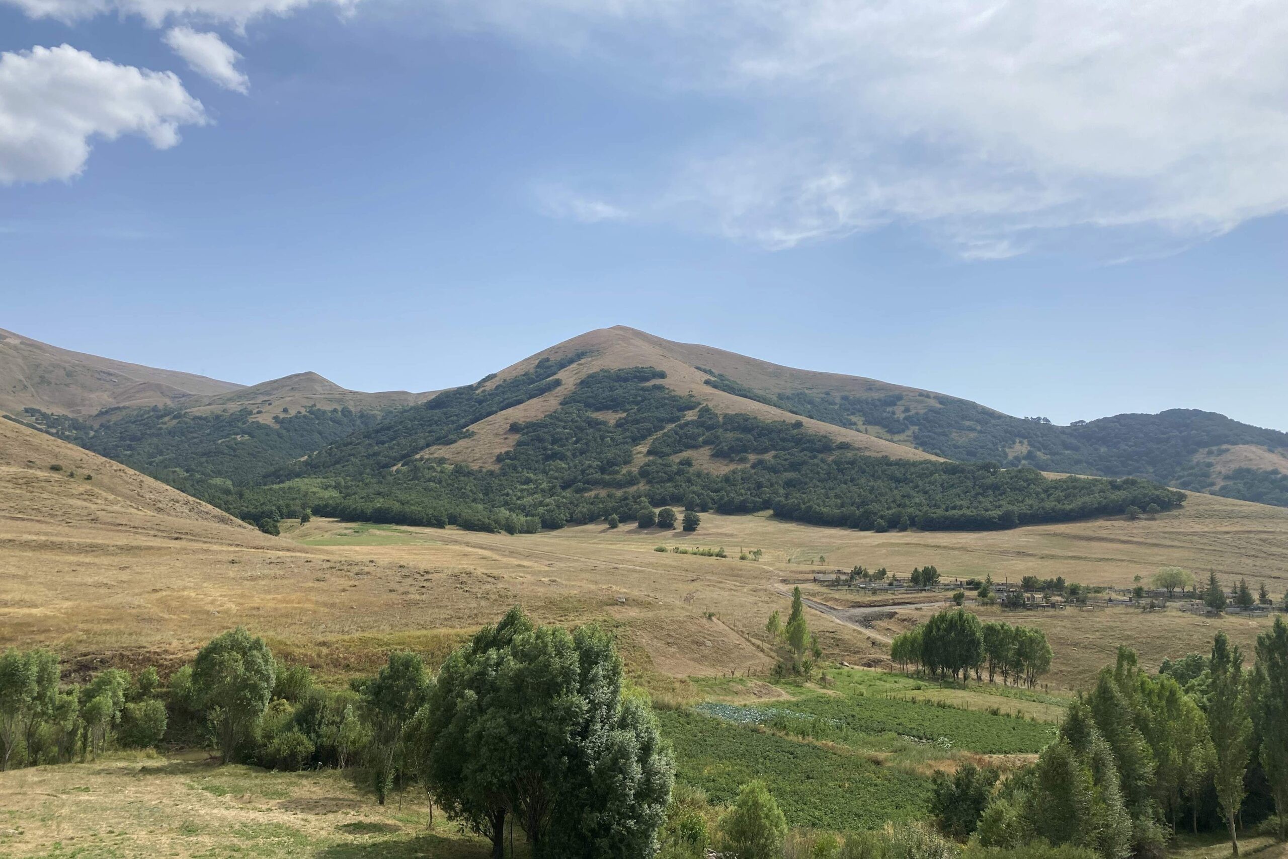 A plot of agricultural land in Yeghipatrush. Photo: Ani Avetisyan/OC Media