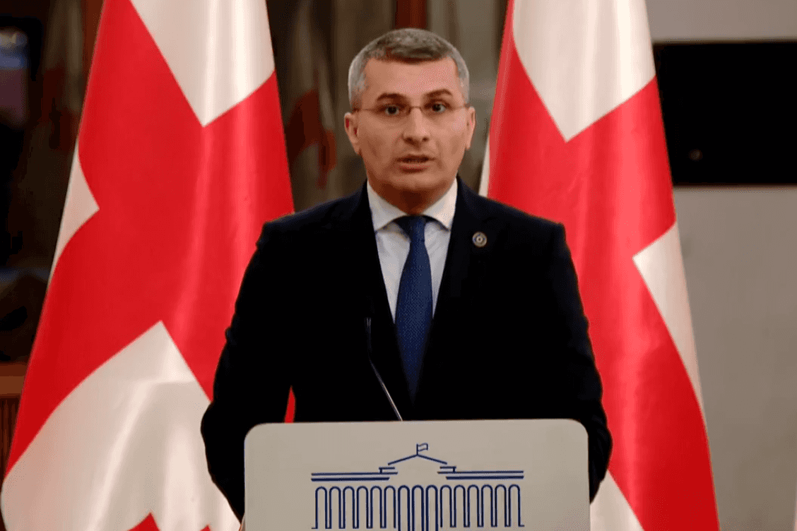 Mamuka Mdinaradze speaking during a briefing in Parliament. Screengrab via Facebook.