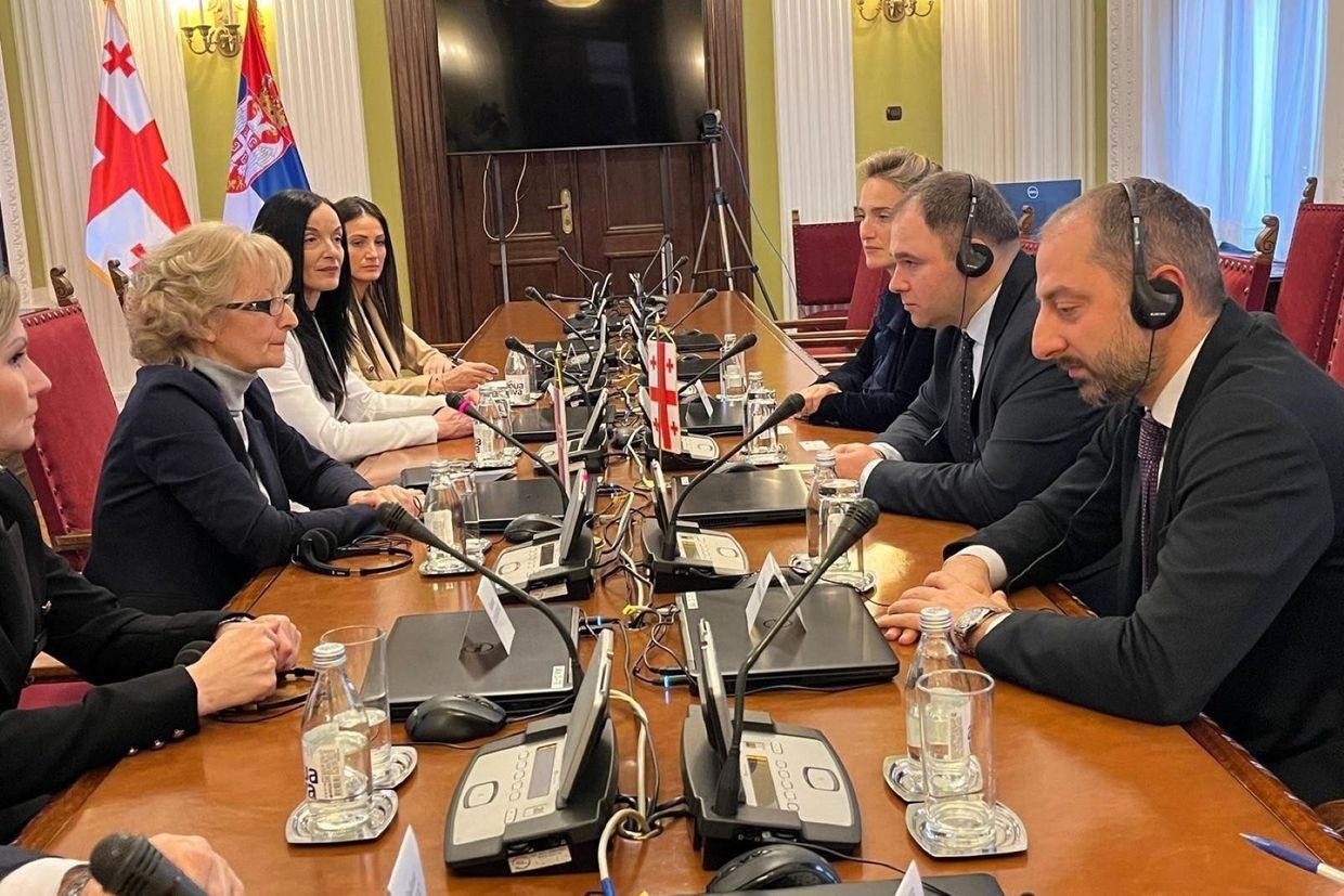 Georgian and Serbian MPs at a meeting in Belgrade on 25 March 2025. Official photo.