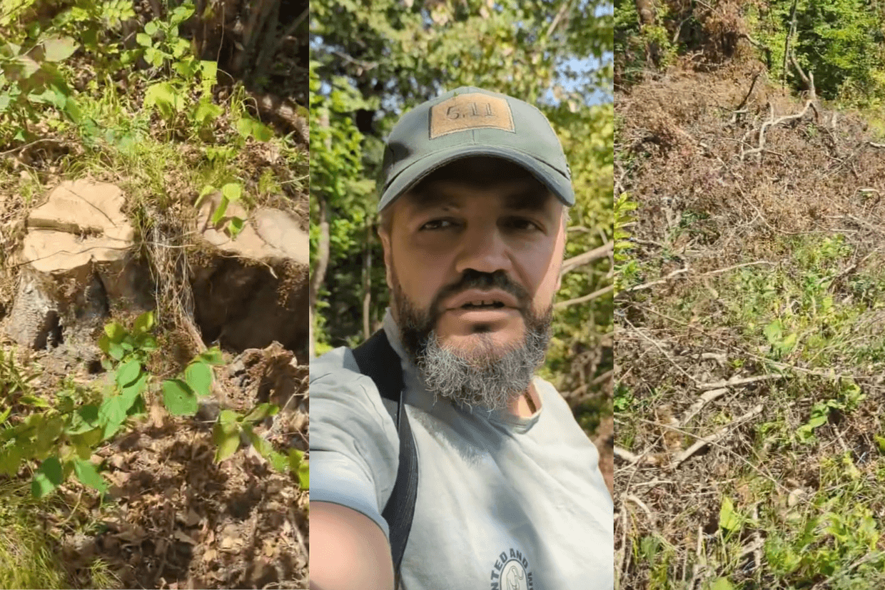 Gor Hovhannisyan, the head of Eco Patrol initiative, showing the damage caused to the forest as a result of illegal logging. Screengrab from video.