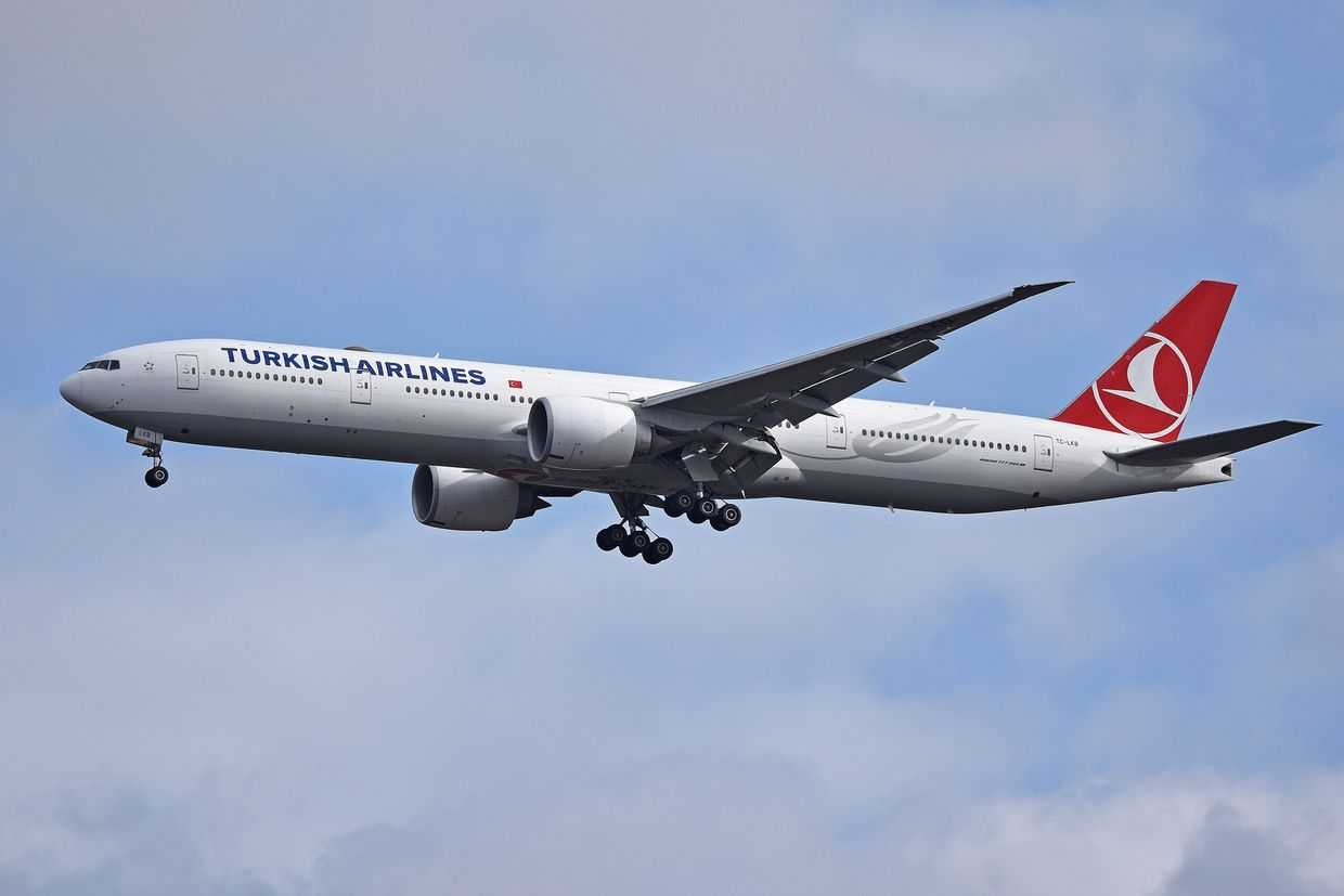 A Turkish Airlines jet in flight. Photo: Wikimedia commons.