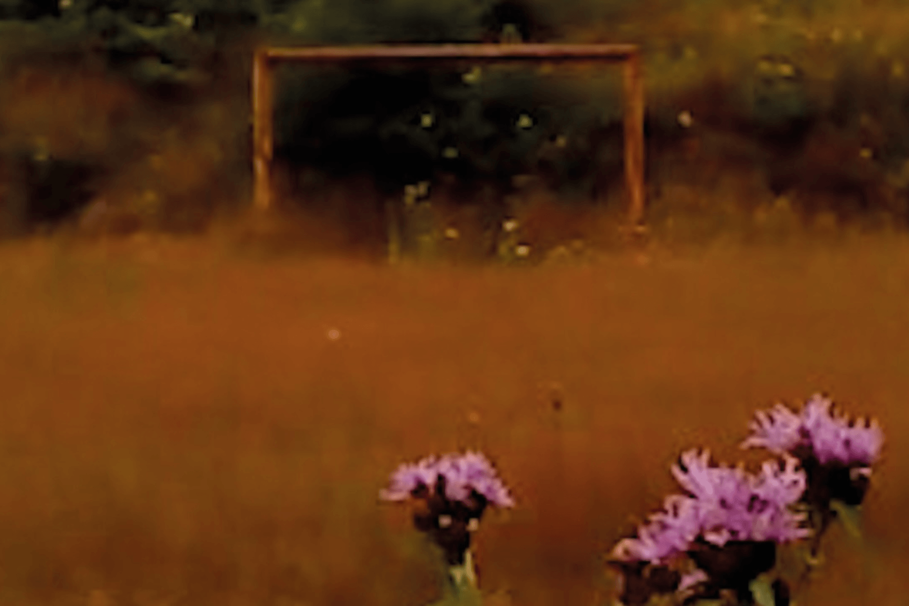 Still from film.
