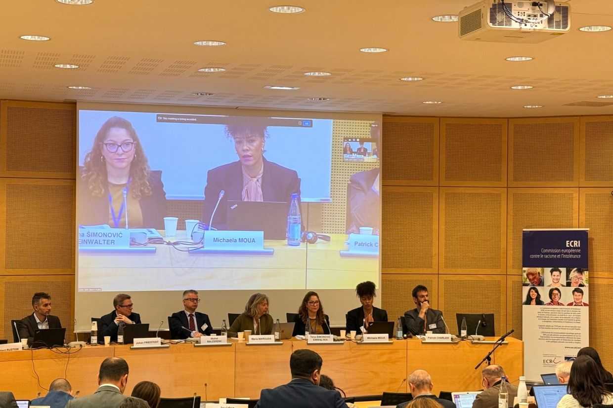 European Commission Against Racism and Intolerance (ECRI) seminar in Strasbourg in late October 2025. Official photo.