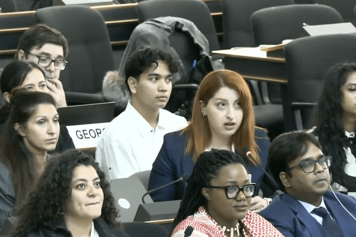 <strong>Elçin Adzinba delivering her remarks at the UN Forum on Minority Issues in Geneva. Screengrab via UN stream.</strong>
