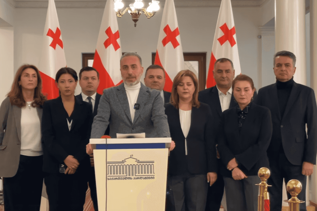 For Georgia MPs making a statement in parliament. Screengrab from an official video.