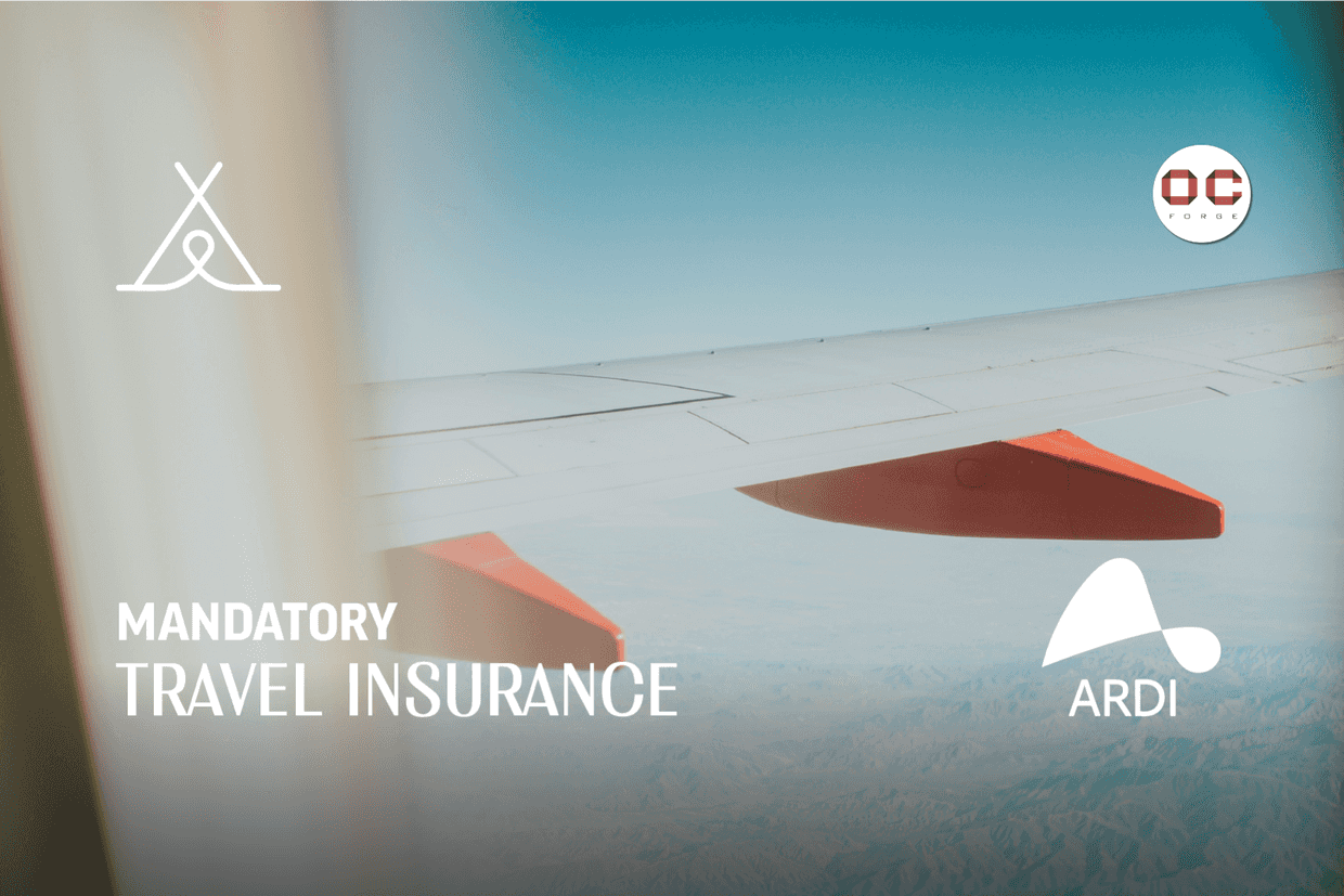 Mandatory Travel Insurance In Georgia, photo by ARDI. 25.02.2026