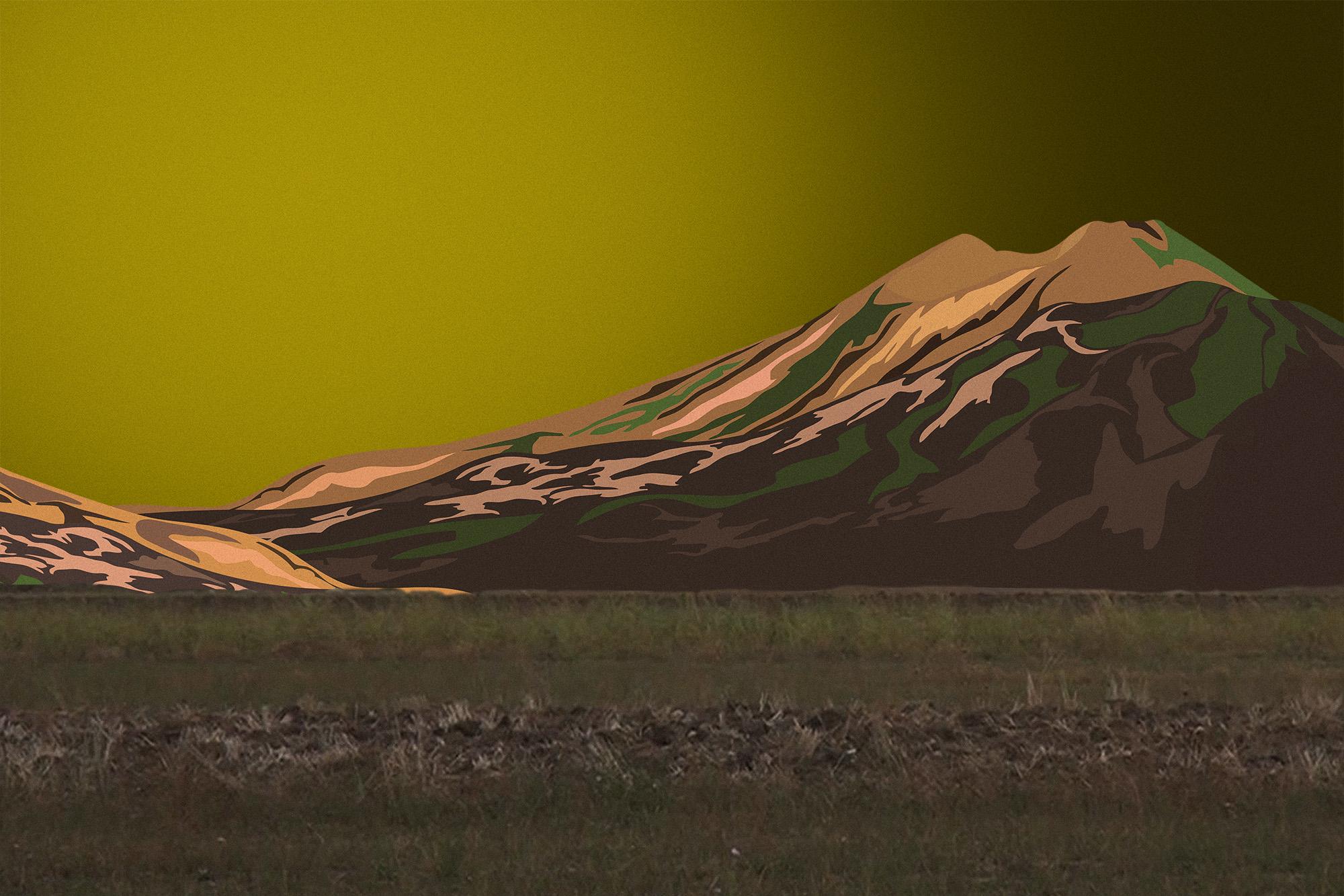 Opinion | To stand for peace, in spite of everything