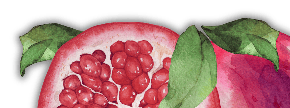 Illustration of a Pomegranate